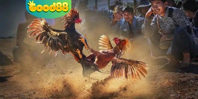 Mẹo để tham gia cá cược có hiệu quả