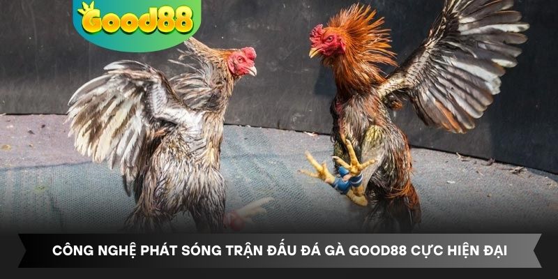 Công nghệ phát sóng trận đấu đá gà Good88 cực hiện đại