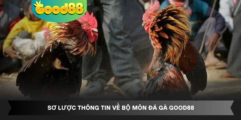 Sơ lược thông tin về bộ môn đá gà Good88