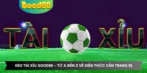 Kèo Tài Xỉu Good88 – Từ A đến Z Về Kiến Thức Cần Trang Bị