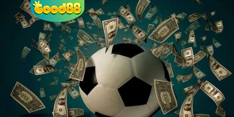 Học cách đặt cược chuẩn từ chuyên gia